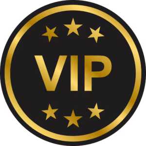 VIP WEB logo