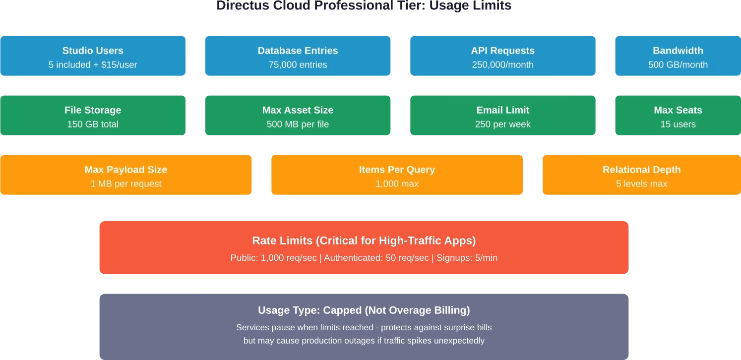 Complete breakdown of Directus Cloud Professional tier technical limits and usage caps at $99/month.
